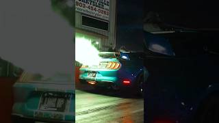 Loudest mustang ever #mustangs #mustang #fordmustang #shorts #shortvideo