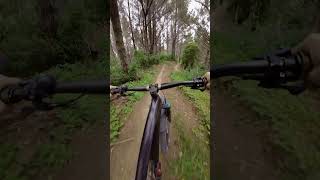 Subdup Trail 440 MTB Park