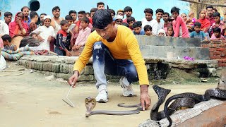 #Indian #spractical venomous Cobra rescue contact{8810463026}