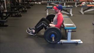 AllStrengthTraining.com: Barbell Hip Thrust