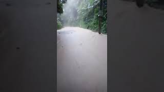 Serra de Angra dos Reis inundada