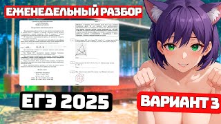 Подготовка к ЕГЭ 2025, Урок 3 для Чайников, Профиль