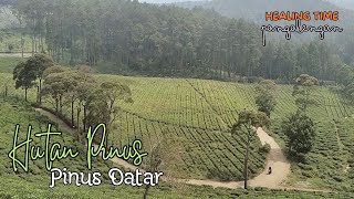 MENGITARI KEBUN TEH CUKUL - RIUNG GUNUNG SAMPAI RAHONG ||  @dafsfamilychannel