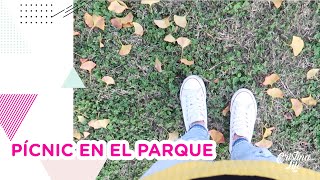 PÍCNIC EN EL PARQUE & VACUNA & DECORACIÓN · VLOG 489