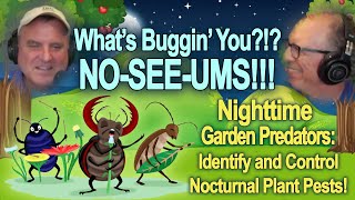 What's Buggin' You?!? No-See-Ems!! Nighttime Garden Predators: Identify and Control Plant Pests!"