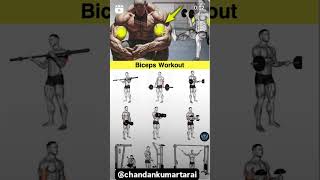 Top#most#effective#bicep#workout#home at#gym#trending#bicep#workout#viral#shorts@chandankumartarai