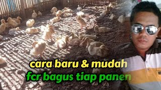 cara terbaru & mudah membuat fcr selalu bagus | bebek pedaging