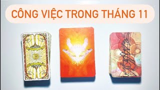 Dự đoán công việc trong tháng 11