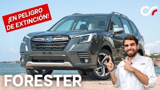 Subaru Forester Review en Español (2.5i -S) | Un SUV en Peligro de Extinción🥵