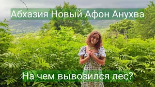 Абхазия 2022 | Вечерний Новый Афон | Анухва | Царский паровозик