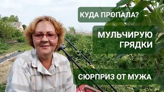 ГДЕ Я ПРОПАДАЛА/ СЮРПРИЗ ОТ МУЖА/ МУЛЬЧИРУЮ ГРЯДКИ - МОЙ ОПЫТ/ ГОРОЖАНКА В ДЕРЕВНЕ