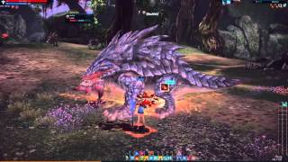 Tera online - BAM solo - Priest (lvl 20 Basilisk)