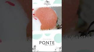 Ponte New American | Oysters Series