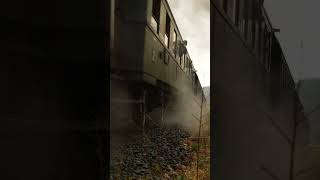 58 311 mit Volldampf am Berg #eisenbahn #train #steamtrain #sound #railway #short #shortvideoviral