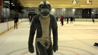 Furries on Ice