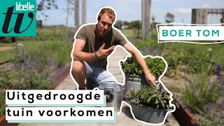 Zo zorg ervoor dat je tuin niet uitdroogt deze zomer - Boer Tom Libelle