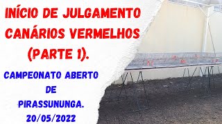 INÍCIO DE JULGAMENTO DOS CANÁRIOS VERMELHOS NO CAMPEONATO ABERTO DE PIRASSUNUNGA (PARTE 1).