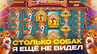 СЛОВИЛ НЕОЖИДАННЫЙ ЗАНОС В DOG HOUSE MEGAWAYS! // БЕРУ ПРАВЫЕ БОНУСКИ // ЭТО МАКСВИН?