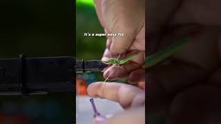 The Wingless Dragon? #flytying #flyfishing #tutorial #dryfly #handmade #timelapse #shorts #dragonfly