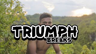 TRIUMPH - FVNKY BREAKS ( WAN VENOX)