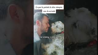 Humano, si quieres me estoy contigo hasta que muera.