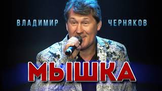 Владимир Черняков - Мышка