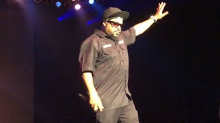 Ice Cube - How to Survive in South Central @ The Rave/ Eagles Club Milwaukee, WI 7-14-18