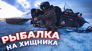 Рыбалка в лунке/Ловлю окуня/Как наловить рыбу #сезон2022/23