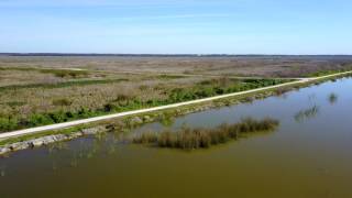 Lake Apopka, Fl  - Bike Trail