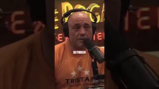 Joe Rogan - Getting A Jiujitsu Purple Belt