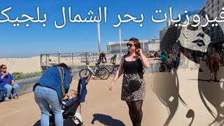 فيروزيات بلجيكا (ostende) بحر الشمال