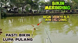 Merinding dibuatnya,Mancing dipinggir Bkt Berkali - kali Double strike || Empang Lilo pinggir Bkt