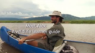 WILDLIFE GUIDE TASTER 480p