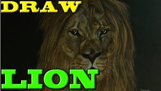 draw Lion / zeichnen eines Löwen - drawing animal #0015 [HD] [Speeddrawing]