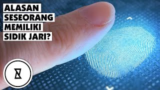 Why Do We Have Fingerprints? Mengapa Kita Memiliki Sidik Jari | Did You Know? INGIN TAHU?