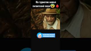 😨 На туристов напал гигантский паук #фильмы #Shorts