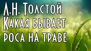 Л.Н. Толстой "Какая бывает роса на траве" 🌱 (Описание) 🌿 Иллюстрированная Аудиокнига