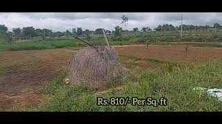 5.5 Kunte Land For Sale in Mysore (Near Mysuru-Bengaluru Highway)|(9110861228)