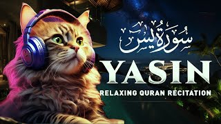 Surah Yasin (Yaseen) سورة يس | Amazing Voice Quran Recitation /Quran reaction [Lofi Theme]