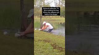 Florida man saves his dog from an alligator!!