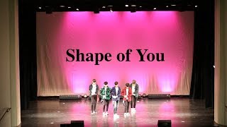 Mixed Motions | Produce 101 - Shape of You Dance Cover