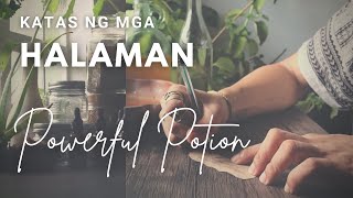 Ang tunay na Potions | habang tumatagal lalong magiging mabisa! | Herbal extract/Tincture