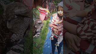 anak bocil gaada takut #edukasianak #cutebaby #wisataanak #anaklucu #funny #wahanaanak #cute #shorts