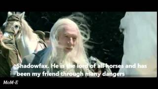 The Lord Of The Rings - Shadowfax Lord Of All Horses Tribute