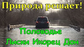 Сила природы. Лиски, Икорец, Дон. (Половодье 2018)