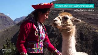 Culinary Journey of Peru