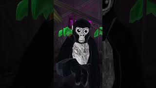 EDP asked me if I wanted a fist bump #freecomedy #funny #vr #gorillatag #funnymemes #gorillatag #fyp