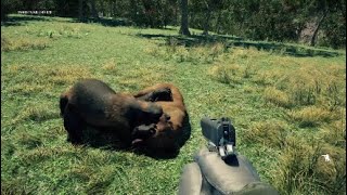 Dog vs Wolverine (Far Cry 5)