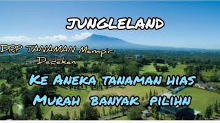 JUNGLELAND MAMPIR DADAKAN KE TEMPAT TANAMAN HIAS MURAH BISA NEGO BANYAK