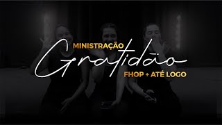 GRATIDÃO // Assista até o final!